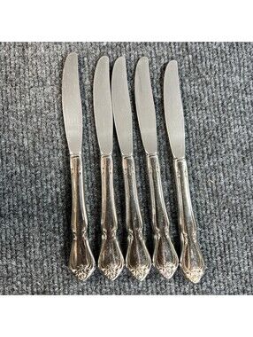 oneida stainless flatware5 Dinner Knives